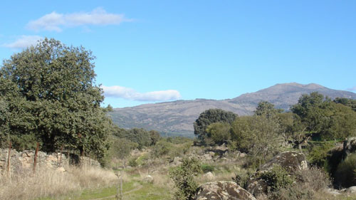 Ruta por el cordel del valle del jerte.