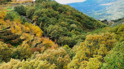 Ruta por Barrado